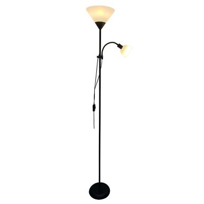 China Lighting Functions Focus Lighting New Indoor Floor Lamp Matte Black / White Color for sale