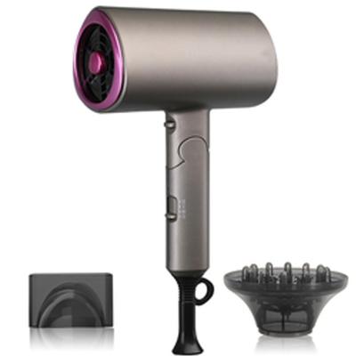 China Other Ionic Hair Dryer 1600W DC Motor Travel Size High Speed ​​Hair Dryer With Cool Pulled Function for sale