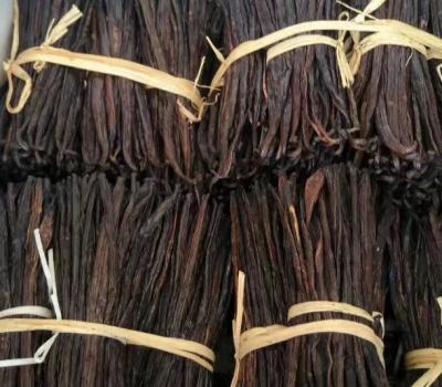 China Fresh vanilla bean for sale