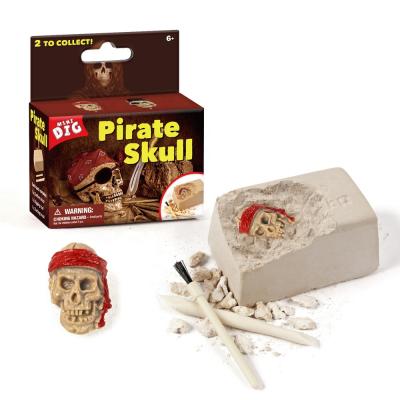 China Educational DIY Toys Amazon Best Selling Kids Toys Pirate Treasure Dig Kit Novelty Educational Toys for sale