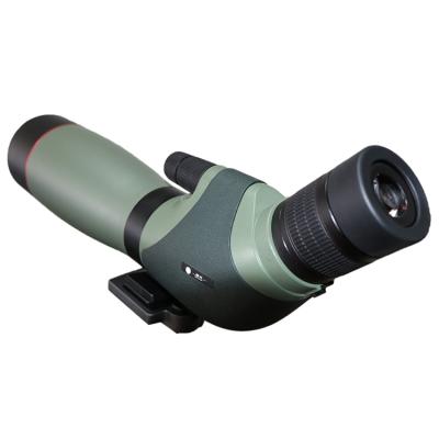 China Outdoor Waterproof Bird Watching Equipment 20-60X82 550X460X290mm for sale