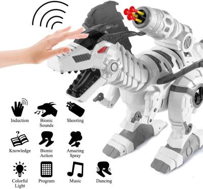 China 2020 Children's Toys Kids Toys Amazon Product Remote Control Dinosaur for sale