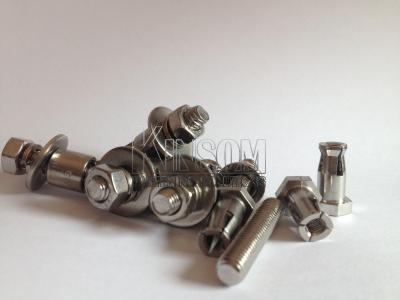 China Expansion bolt and nut special stainless steel screws assembly OEM/ODM for sale