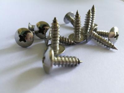 China Stainless steel self tapping screw with pan cross head polishing special fastener for sale