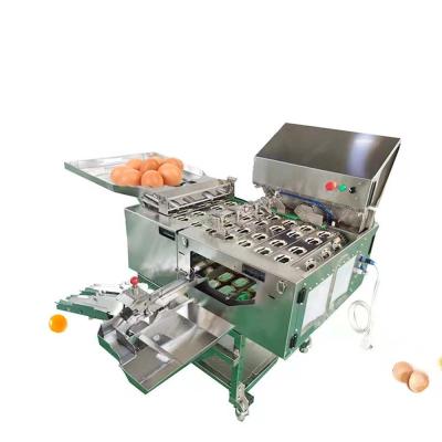 China Liquid Egg Processing Equipment For Small Egg Powder Making Pasteurization Machine for sale