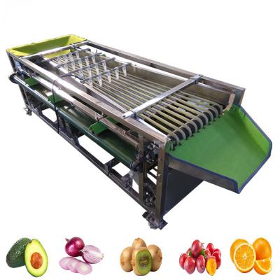 China Automatic Production And Fruit Size Grader Fruit Vegetable Processing Machine With Washing Function for sale