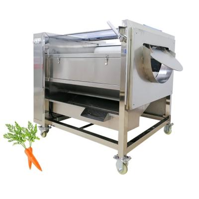 China Large Scale Production Fruit Vegetable Processing Equipment with 220V Voltage for sale