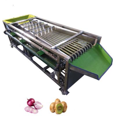 China 220V Automatic Fruit Size Grader For Fruit Vegetable Processing Machine At Affordable for sale