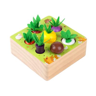 China Wooden Educational Wooden Toys For Boys And Girls Shape Size Matching Puzzle for sale