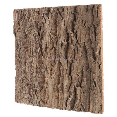 China Sustainable Cork Bark Background Natural Cork Bark for Reptiles Tank Backdrop Wall Decor Props for Turtle Beared Dragon for sale