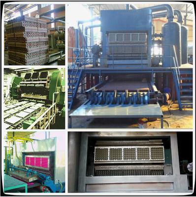 China Waste Paper Pulp Egg Tray Machine for sale