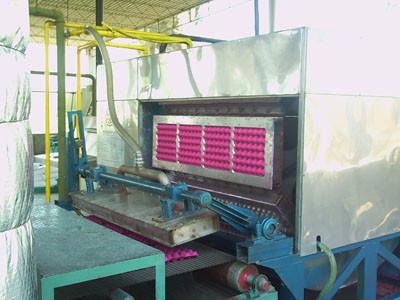 China Waste Paper Pulp Egg Tray Making Machine , Recycling Small Egg Tray Machine for sale