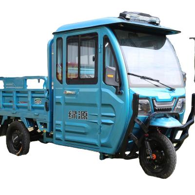 China Hot Sale 2 Seats Cargo Electric Tricycle Van For Passenger And Cargo for sale