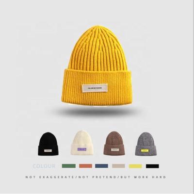 China OEM COMMON Knitted Custom Plain Cotton Yarns Logo Sport Cap Wind Prevention Hearing Protection Hat Winter Knitting Unisex Beanies Customized for sale