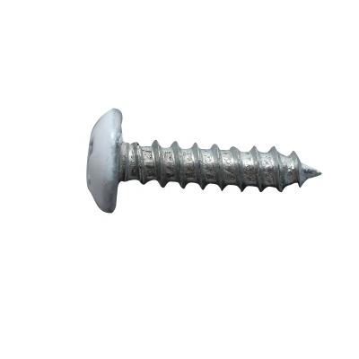 China Exterior Pan Low Price Shutter Window Stainless Steel Screw Shutter Screws For Door Stopper for sale