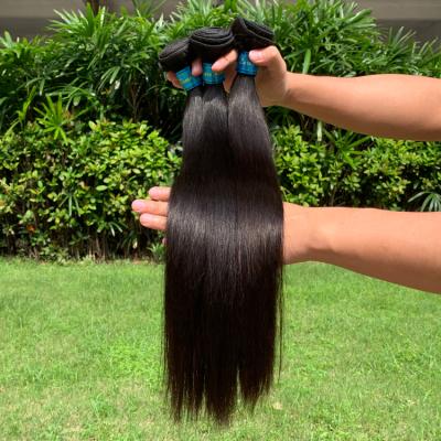 China Free Shipping Silky Straight Wave Brazilian Virgin Hair, Unprocessed Brazilian Straight Virgin Hair, Raw Unprocessed Virgin Hair Bundle for sale