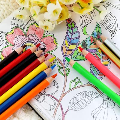 China 24 Pcs High Quality Wooden Color Coloring Pencils Wholesale Custom Personalized Colored Pencils for sale