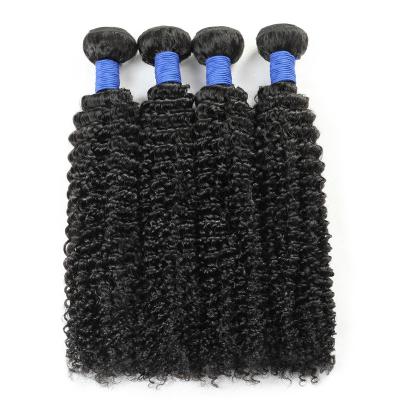 China Fashion Star 10A Brazilian Twisted Curly Black Human Hair Virgin Quality Woven Wig for sale