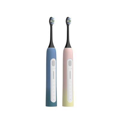 China USB Charging Smart Whitening Teeth Waterproof Electric Toothbrush For Adults Sonic Rechargeable Toothbrush Blue Pink for sale