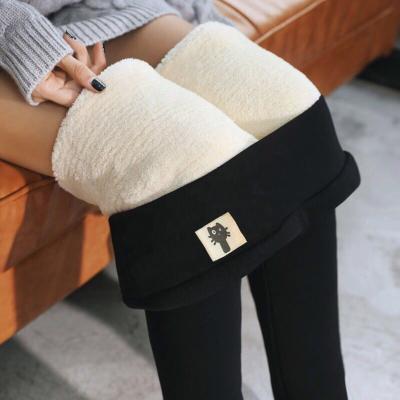 China Black Thermal Pants Autumn Winter Warm Leggings Thick Antibacterial Wool Fleece High Waisted Plus Size Pants Gaiters for sale