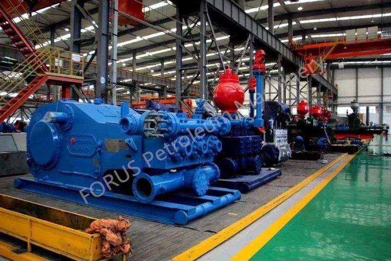 Проверенный китайский поставщик - Shaanxi FORUS Petroleum Machinery Equipment Co., Ltd