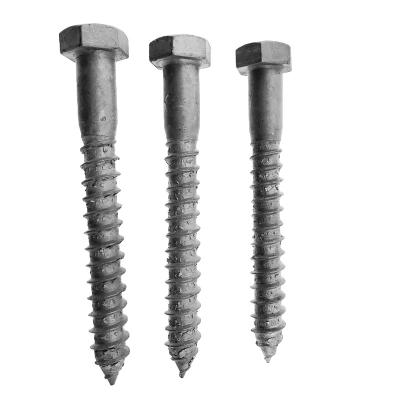 China DIN571 304 Stainless Steel hexagonal self-tapping M10 Heavy Duty wood screw for sale