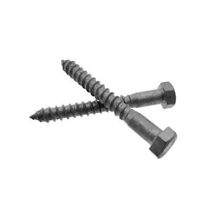 China Dln571 M5 M6 M8 M10 M12 Fumiture Metric Self Tapping Metal Stainless Steel Hexagon al Lag Hex Head Wood Screws for sale