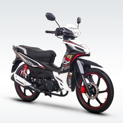 China LIFAN PK125M 125cc CUB Economy Stylish Motorcycle LIFAN PK125M LF125-26D for sale