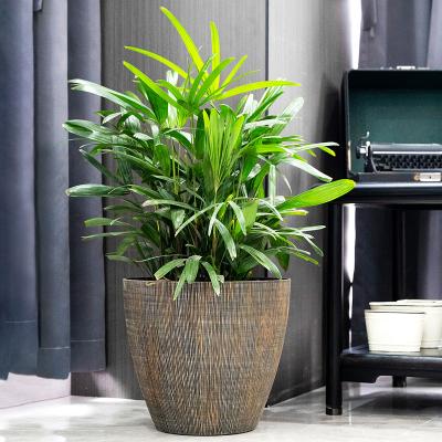 China Amazon Wholesale Hot Sale Flower Plant Planter Pots Resin Light Decorative Garden Plastic Garden Decoration Round Shape Black for sale