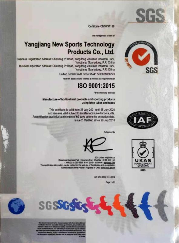 ISO9001 - Yangjiang New Sports Technology Products Co., Ltd.