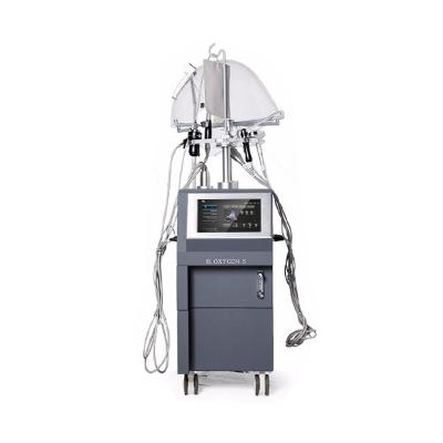 China Pigment Removal Multifunctional Oxygen Facial Jet &Body Device (Magic Hand G882A) for Beauty SPA for sale