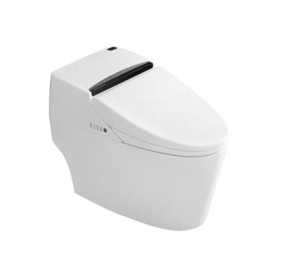 China One Piece Movable Hot Seat Cover Automatic Operation Control Intelligent Smart Toilet for sale