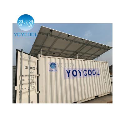 China Hotels Container Blast Freezer 20ft Solar Mobile Cool Container Freezer Room for sale