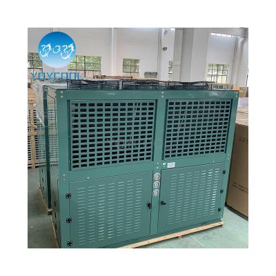 China Hotels Parallel Compressor Air Condensing Unit YOYCOOL Condensing Condensing Unit for sale