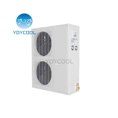 China Hotels NUMBER ONE vaporizer unit walk in cooler China unit vaporizer unit coldroom for sale