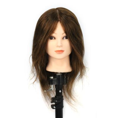 China Cosmetology Mannequin Heads 100% Real Luxury Hairstyle Doll Hairdresser Teaching Training And Dedicated Main Contact Teaching for sale