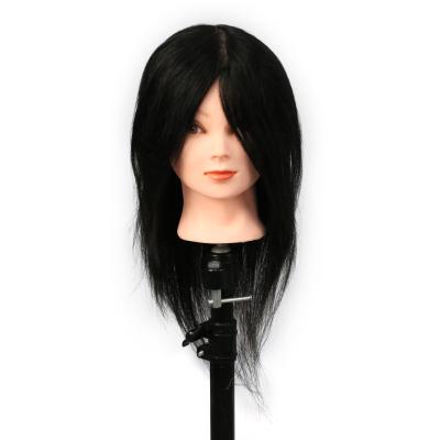 China Wholesale High Quality Human Body Cosmetology Mannequin Heads Factory Teaching Hair Model Head Can Be 100% Customized 16-D Hair Model Head for sale