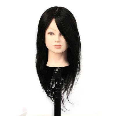 China Wholesale High Quality Human Body Cosmetology Mannequin Heads Factory Teaching Hair Model Head Can Be 20-A 100% Customized Hair Model Head for sale