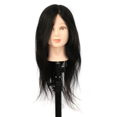 China Wholesale High Quality Human Body Cosmetology Mannequin Heads Factory Teaching Hair Model Head Can Be 22-A 100% Customized Hair Model Head for sale