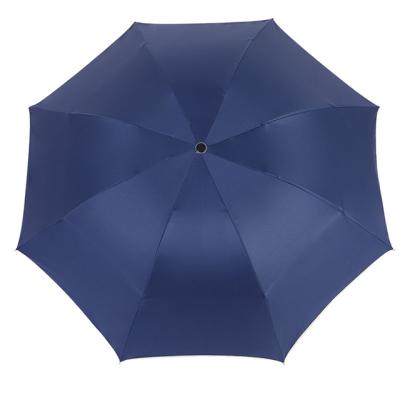 China Travel Umbrella, 10 Ribs Windproof Compact Folding Umbrella, Auto Open/Close Umbrella for Rain & Sun for sale