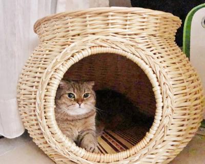 China Handmade Wicker Basket Home Cat Bed Cave Dog House Environmentally Friendly Pet Perfect Kitten Gift with Cushion Pet Cage Carriers for sale