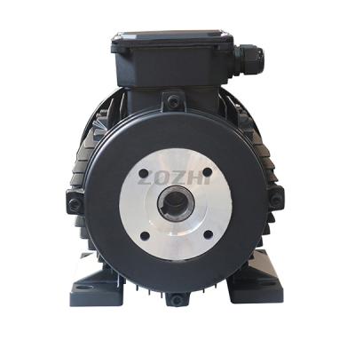 China WATERPROOF Three Phase Electric Motor 7KW 9.5HP Hollow Shaft Motor For Fog System for sale