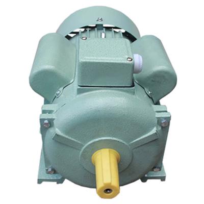 China HP 1.5 Single Phase 2 Kw 220V Squirrel Cage AC Asynchronous Totally Enclosed Electric Induction Motor YC100L-4 for sale