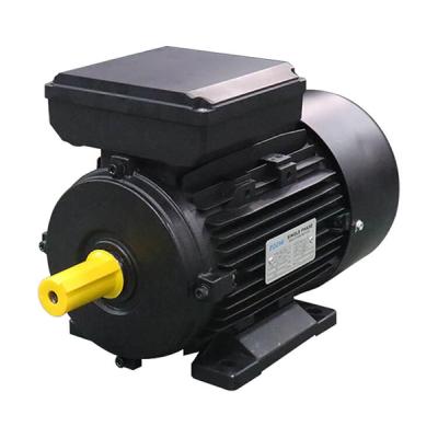 China Totally Enclosed Motor 4 ML Single Phase 3 Hp Electric Motor Posts for sale