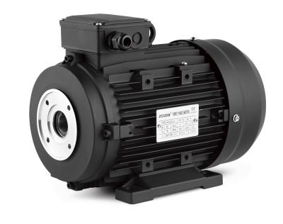 China WATERPROOF 3kw 4HP Three Phase Hollow Shaft Motor For Cleaning Machine for sale