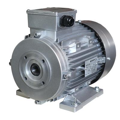 China ZOZHI 12.5KW 17HP 24MM Shaft Totally Enclosed Shaft Motor B3 87/61 for sale