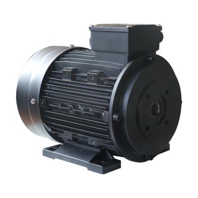 China IE1 IE2 IE3 7.5kw Three Phase Hollow Shaft Totally Enclosed Electric Motor For Pressure Pump for sale