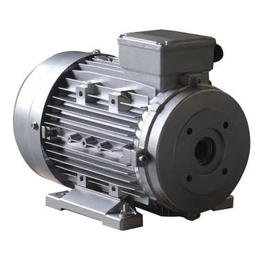 China Zozhi 24mm 87/61 75/90 Fully Sealed Shaft Shaft Motor B3 Type High Quality For Interpump for sale