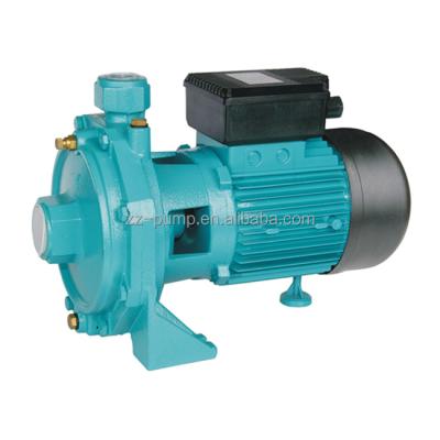 China Easy Maintenance Cultivating Water Pump Jacuzzi Centrifugal Pump SCM2-45 for sale