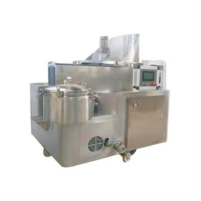 China Food & Beverage Factory Vacuum Fried Dumpling Vegetable Machine Peanut Potato Chip Batch Industrial Gas Fryer for sale